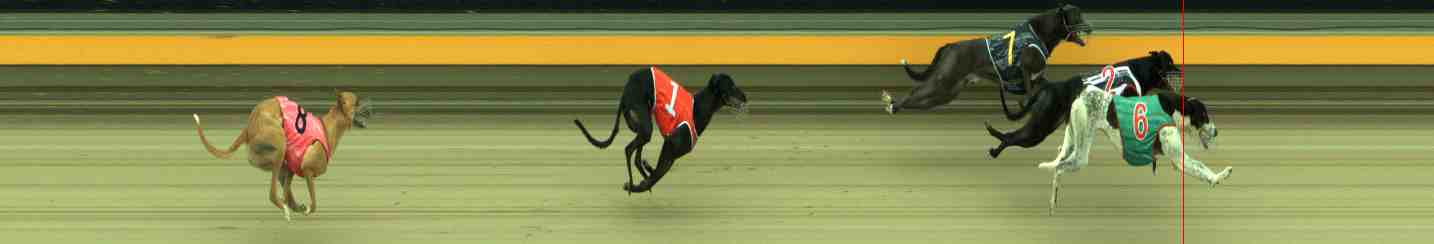 Race result finish photo